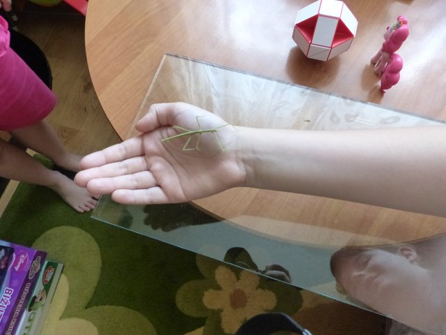 P1550197.JPG