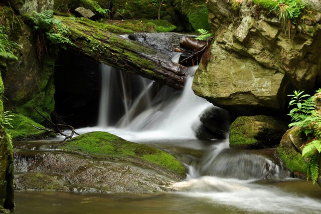DSC_1004.jpg