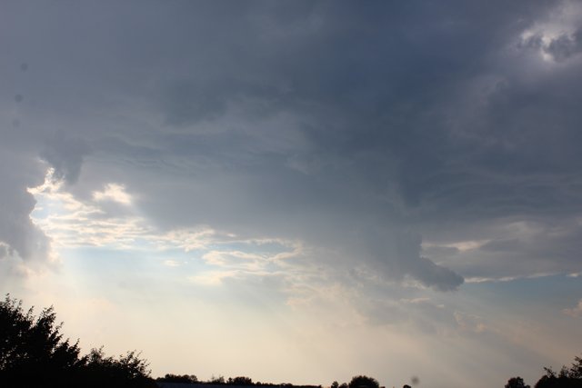 IMG_5625.JPG