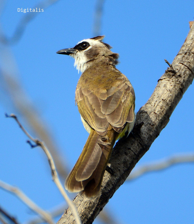 DSC_8361.JPG