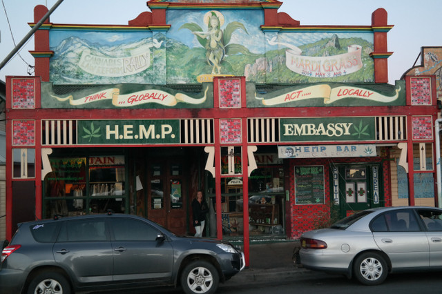 You never try you never know. Nimbin, Australia — Steemit