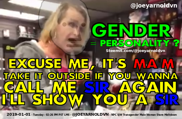 Transgender Woman Store 2018 Meltdown NPC FINAL Screenshot at 2019-01-01 13:57:45.png