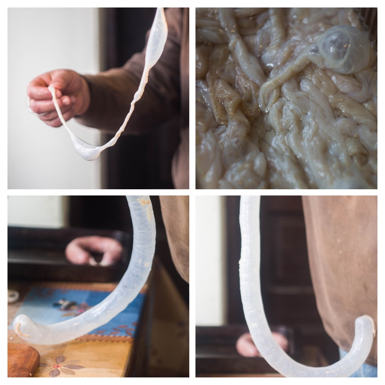 Жильные струны для скрипки. Струны из кошачьих кишок. Струны из кошачьих кишок. Жильные струны для гитары. Из чего делают струны для скрипки.