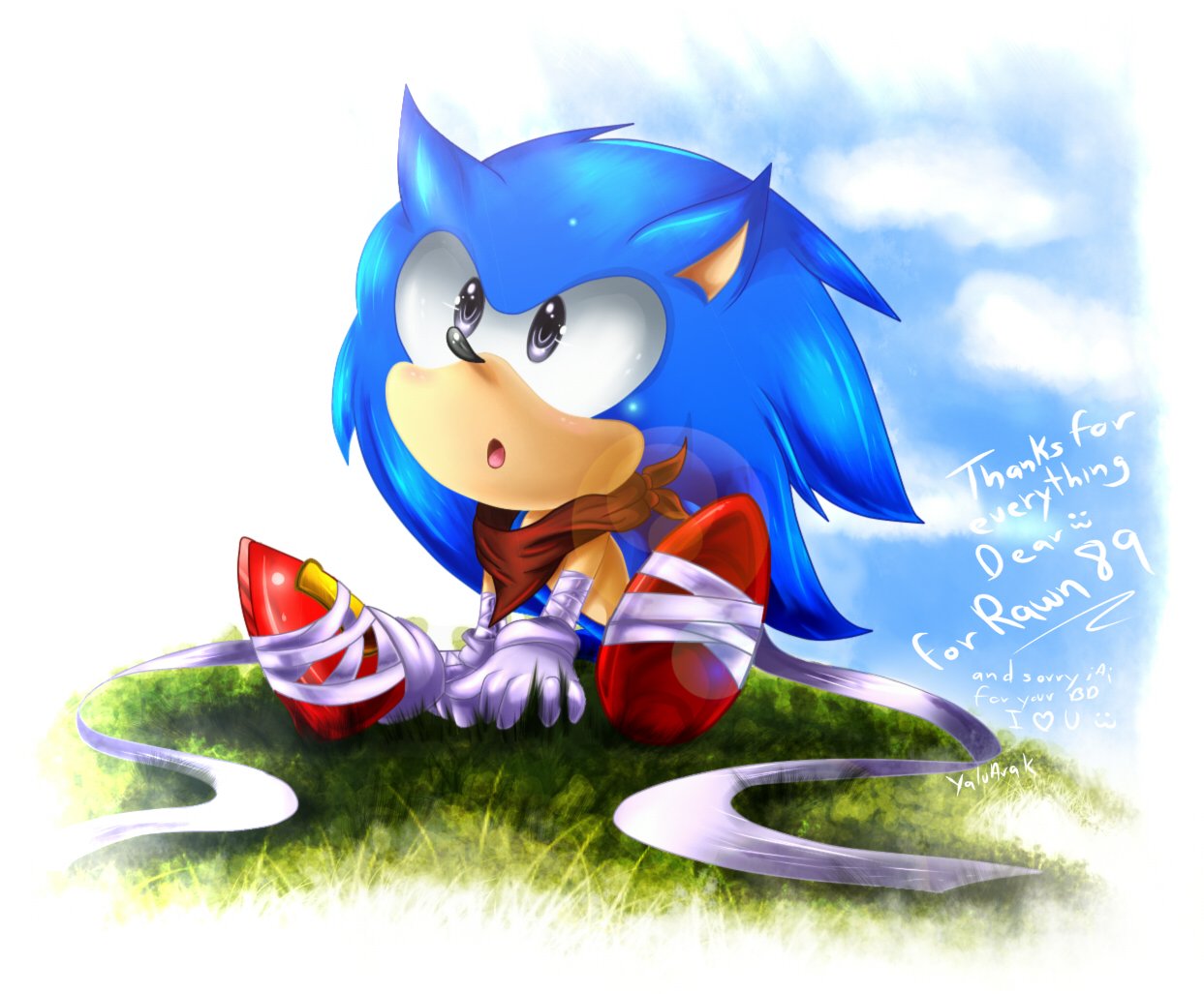can_i_be_in_sonic_boom gift_for_rawn89 by_yaluarak-d7t6qf8.jpg.