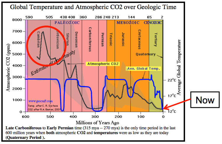 Низкий период. Co2 диаграмма. Co2 температура. Co2 and temperature graph. Low co2.