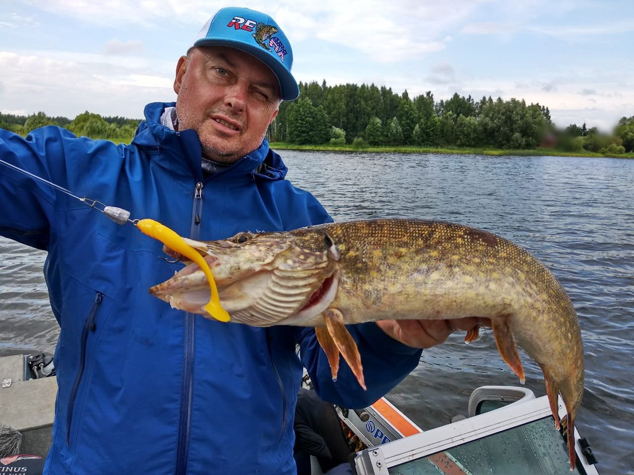 Иваньковский водоем. Щука. Иваньковское водохранилище рыбалка. Щука на водохранилище. Рыба в Иваньковском водохранилище.