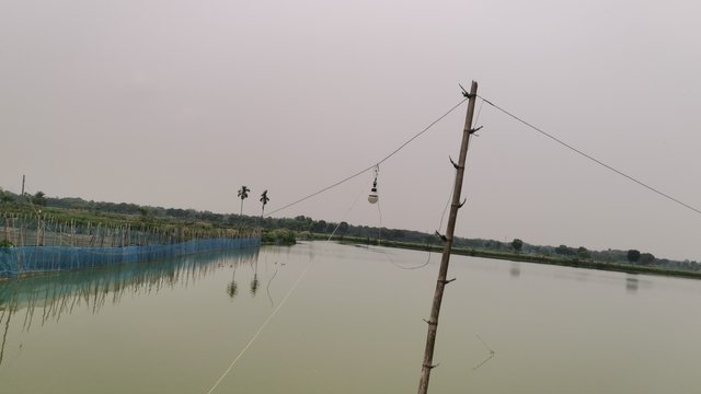 IMG_20240518_115745.jpg