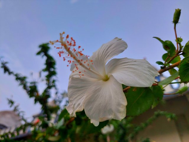 20220506_183449-01.jpeg