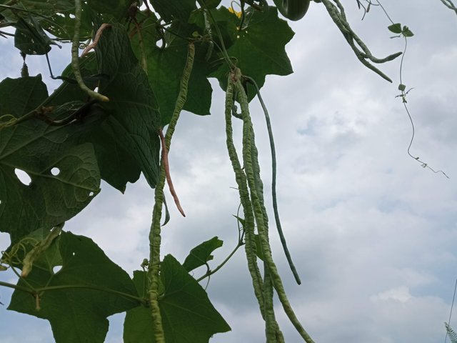 IMG_20220715_112302.jpg