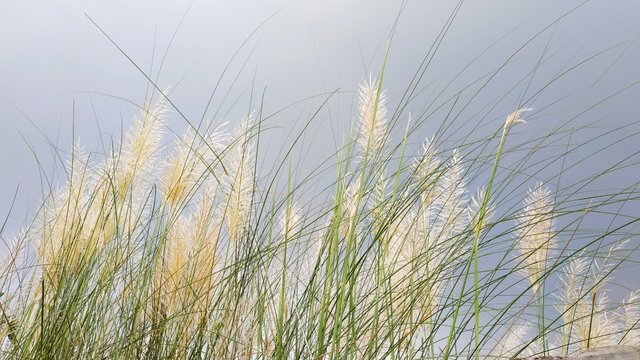 IMG_20220925_091410.jpg