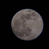 2021-04-26_19-24-34.jpg