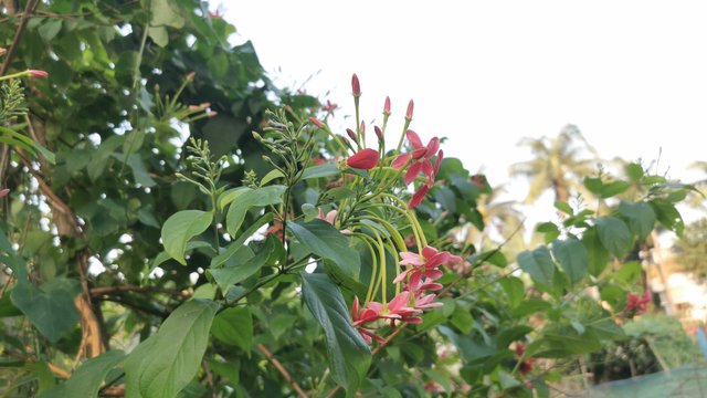 IMG_20240401_172125.jpg