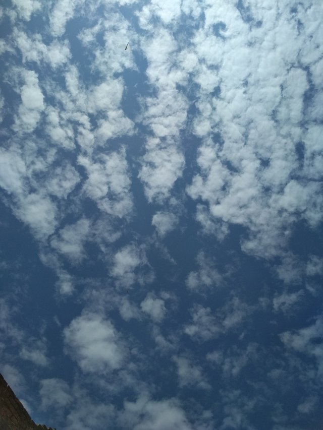 IMG_20180908_120245.jpg