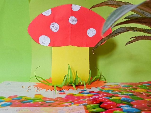 IMG20220810121720~2.jpg