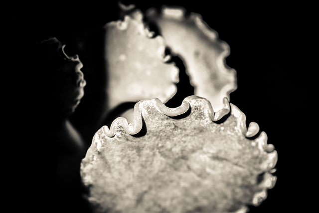 DSC_4596-Old 2-WE.png
