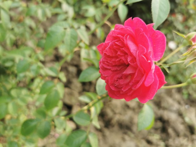 IMG_20231121_160143.jpg