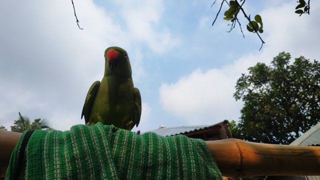 IMG_20220926_130028.jpg