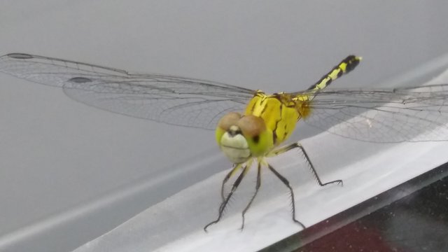 20191114_182814_HDR.jpg