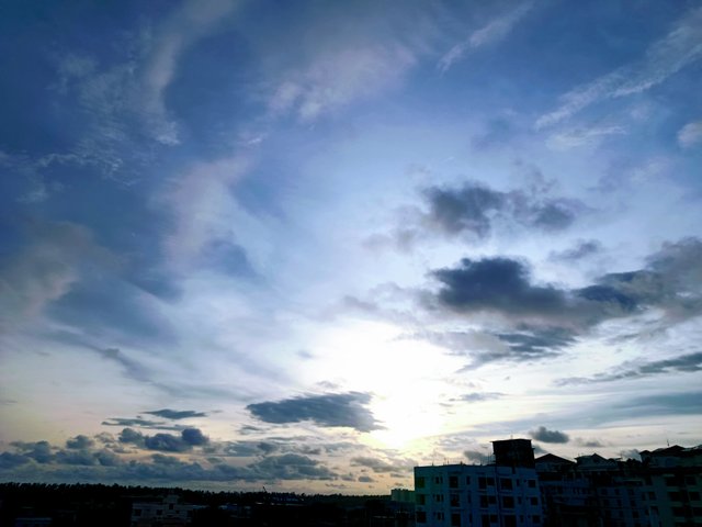 IMG_20250723_175931.jpg