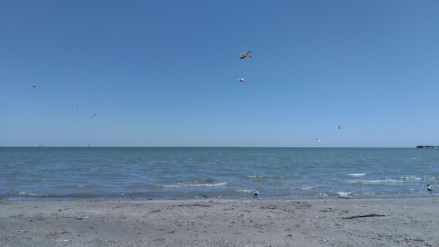 IMG_20180415_135008.jpg