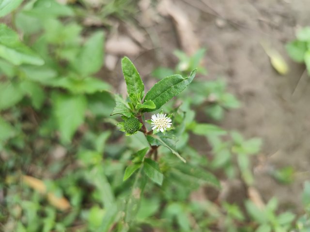 IMG_20250604_091138.jpg