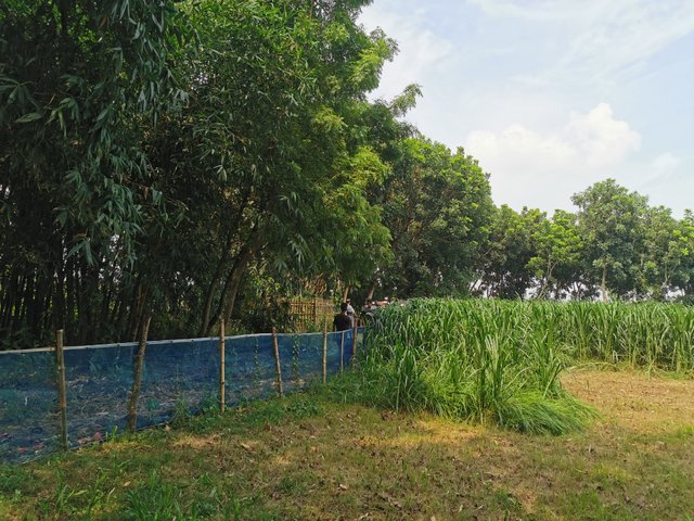 IMG_20240624_143741.jpg