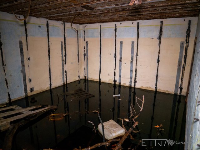 Atlantik Wall-11s.jpg