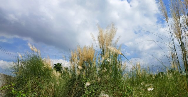 IMG_20220925_091827.jpg