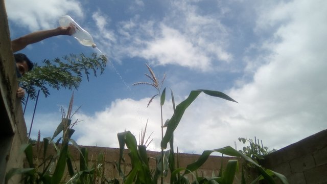 IMG_20200808_114632.jpg