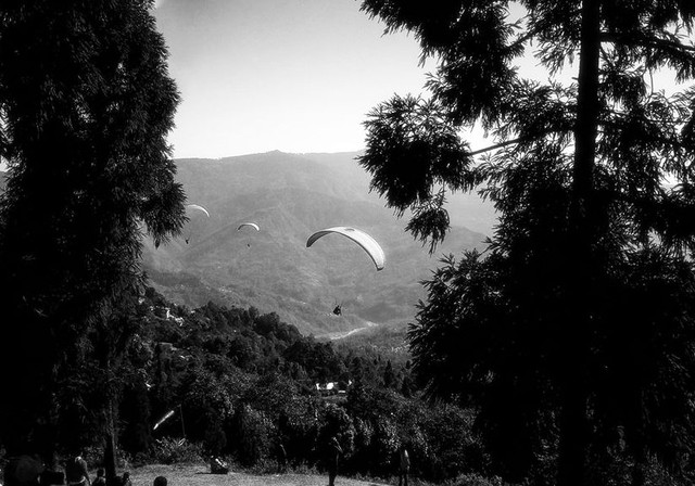 Paragliding@dello.jpg