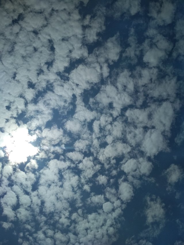 IMG_20180908_115942.jpg