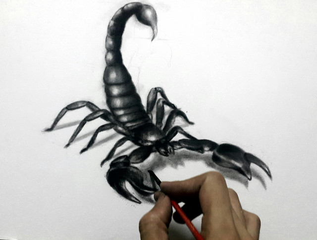 Draw It Better #14 / 3D Scorpion's Drawing — Steemit
