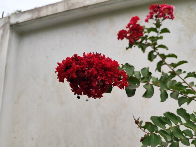 IMG_20250714_180455.jpg