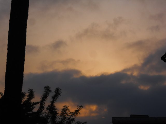 PSX_20190303_072731.jpg