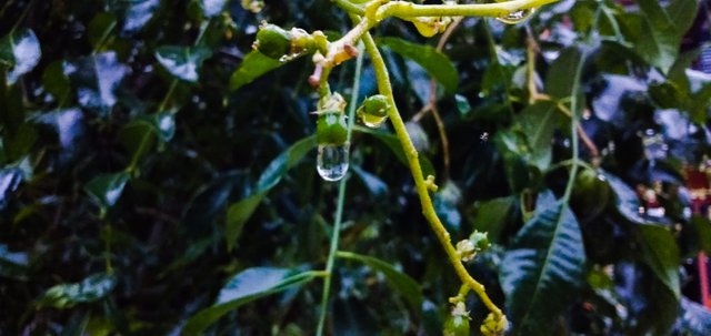 PSX_20201205_105907.jpg