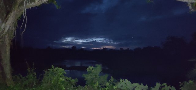 IMG_20200820_191121.jpg