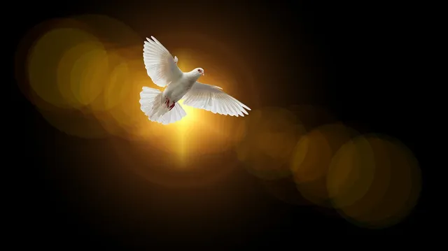 faith-4664706_1280.webp