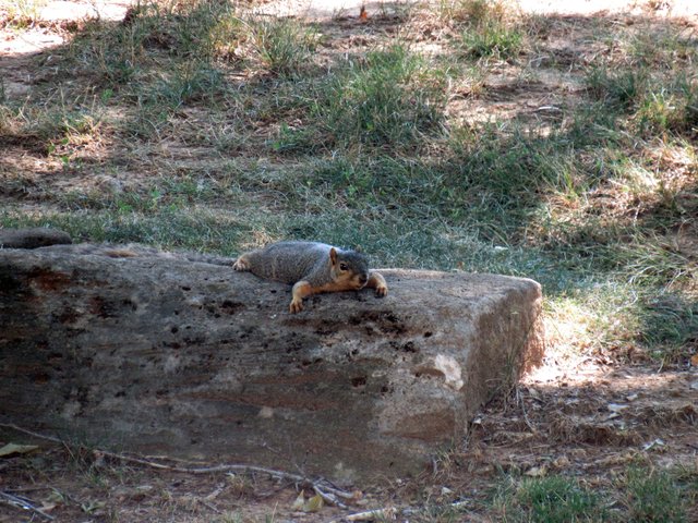 IMG_8666 - Copy.JPG