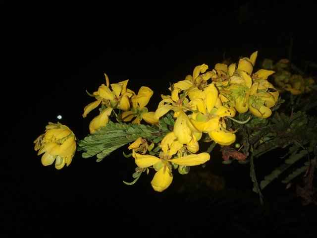 IMG_20220301_212458.jpg