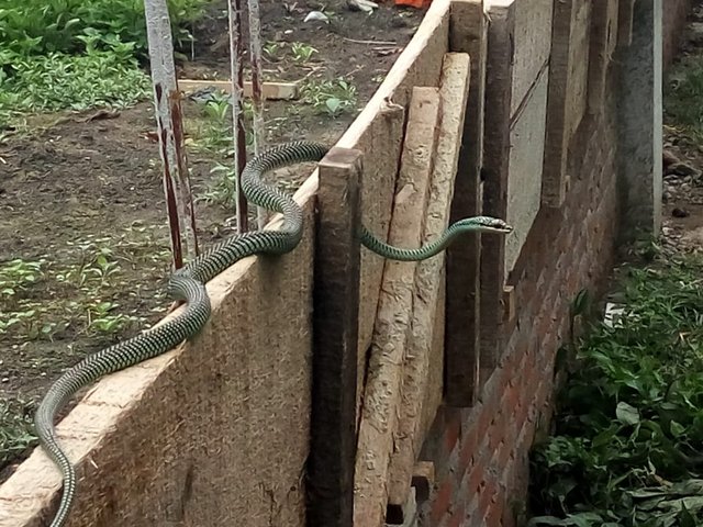 IMG-20180731-WA0018.jpg