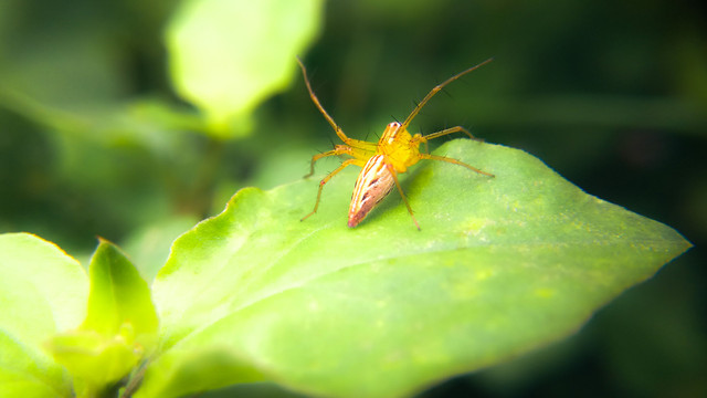 IMG_20170615_090613.jpg