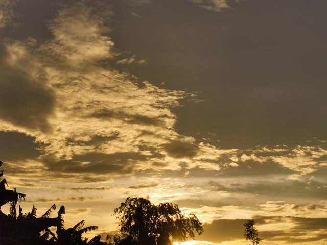 IMG_20240628_183256.jpg