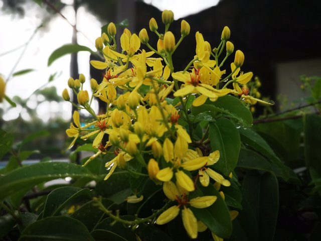 IMG_20180624_071440.jpg