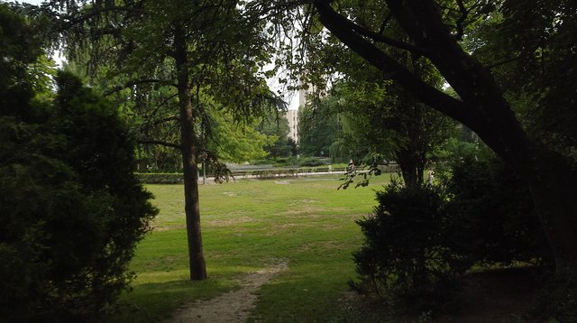 IMG_20180621_175156.jpg