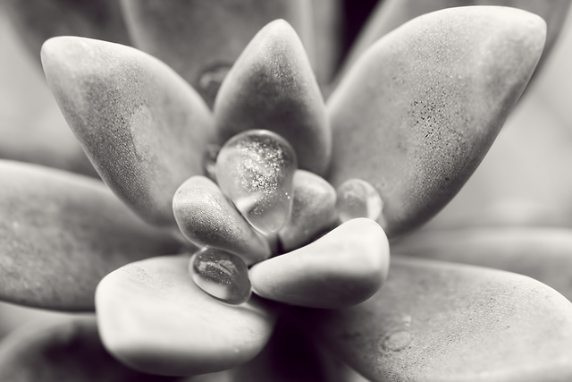 DSC_6801-2-DS2-2-ST.png
