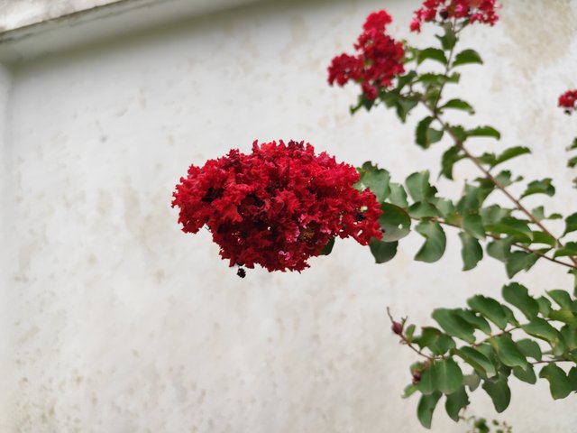 IMG_20250714_180457.jpg