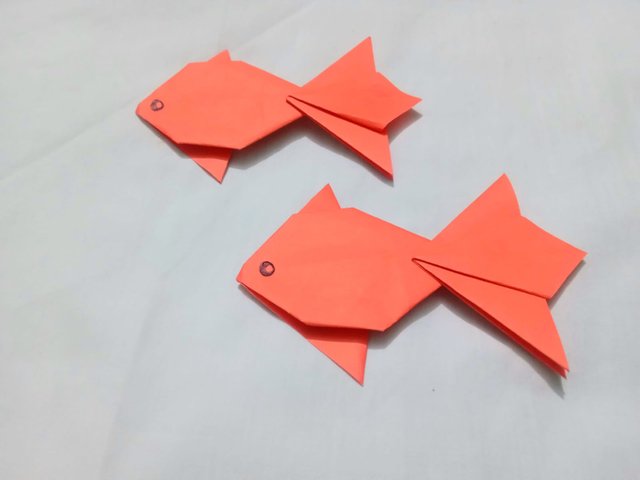 IMG-20231117-WA0015.jpg