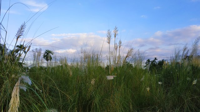 IMG_20220925_091744.jpg