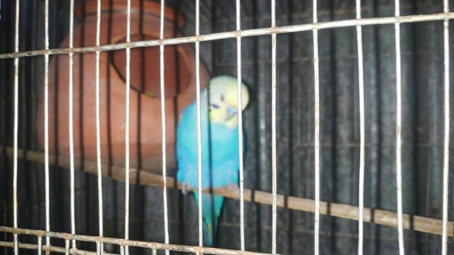 IMG_20220926_130340.jpg