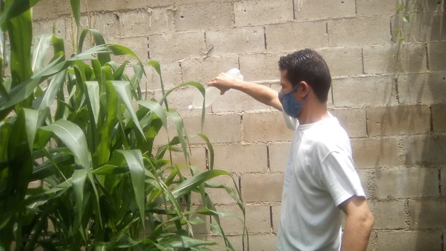 IMG_20200808_114305.jpg